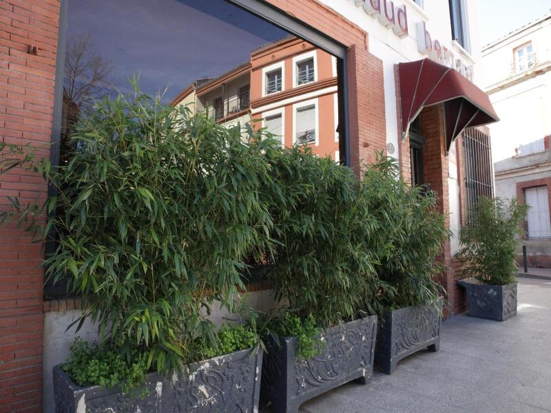 Hotel Arnaud Bernard image