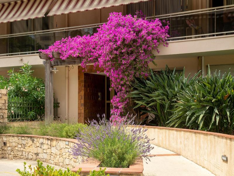Hotel The Originals Residence Les Strelitzias image