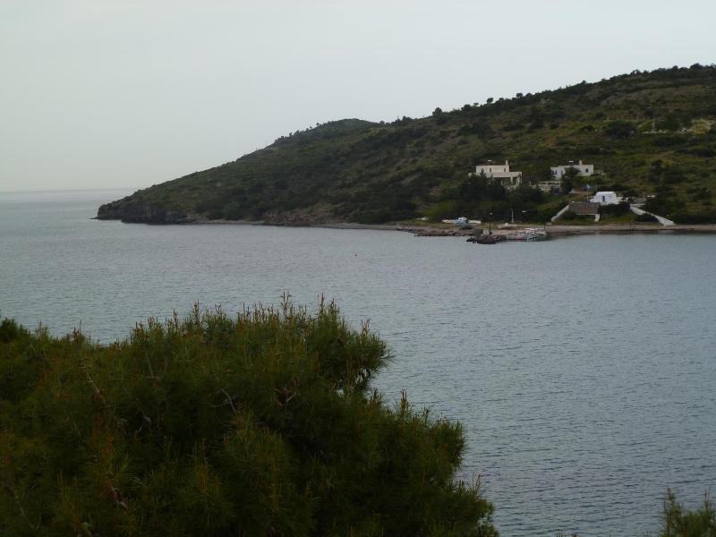 Liberty Ii image