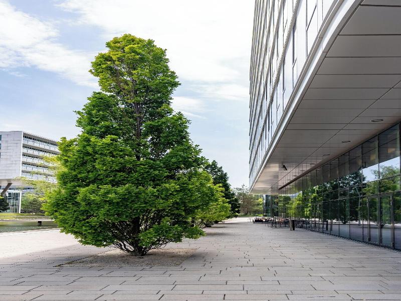 Courtyard Vienna Messe image