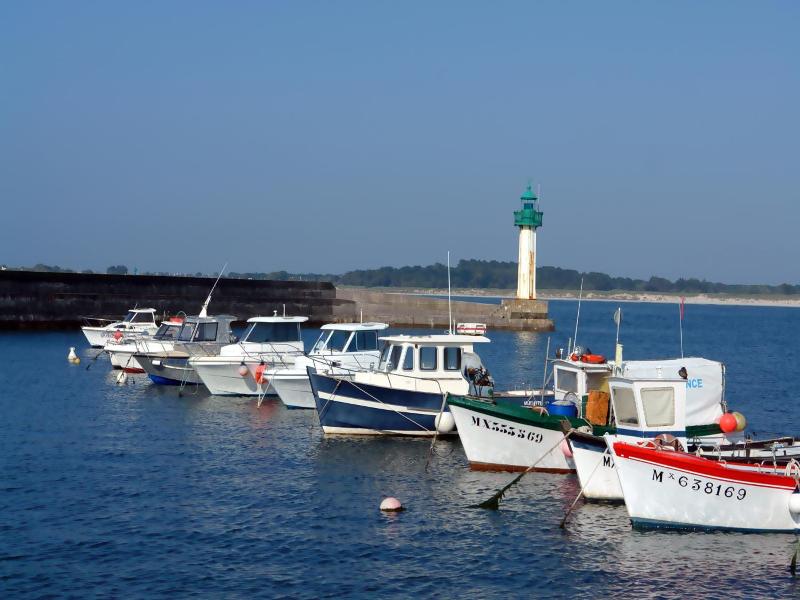 La Marine image