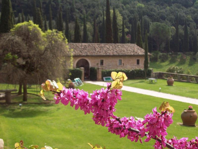 Abbazia San Pietro In Valle image