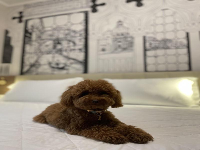 Hotel Marco Polo image