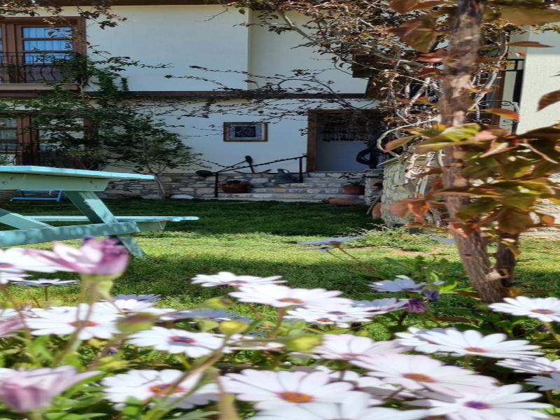 Sezgin Hotel And Guesthouse image