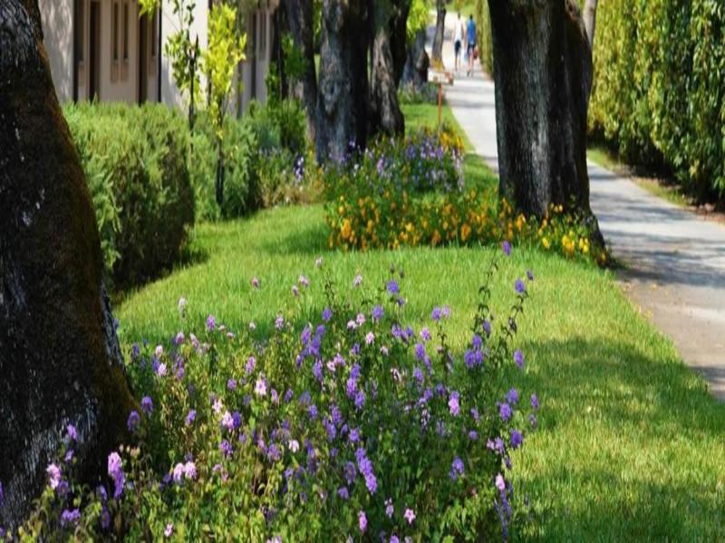 Villaggio Blue Marine image