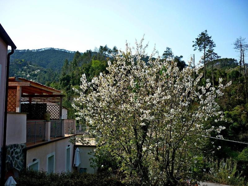 Residence Costa Morroni image