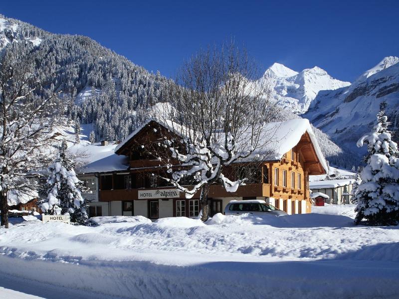 Hotel Alpina image