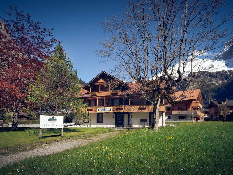Hotel Alpina image