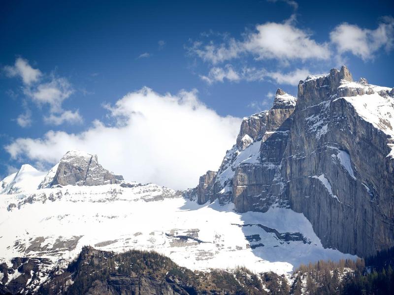 Hotel Alpina image