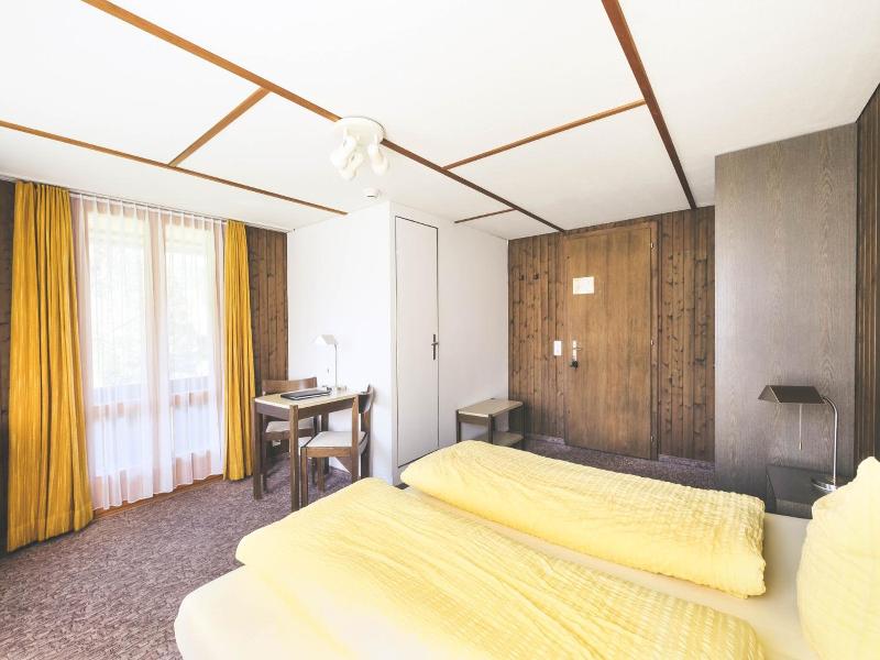 Hotel Alpina image
