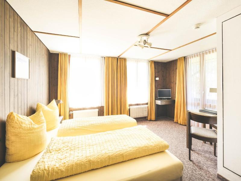Hotel Alpina image