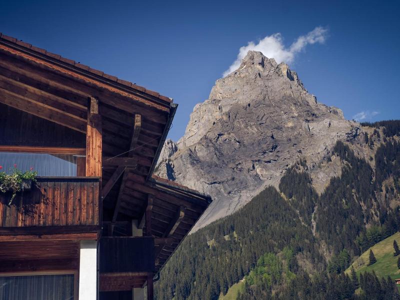 Hotel Alpina image