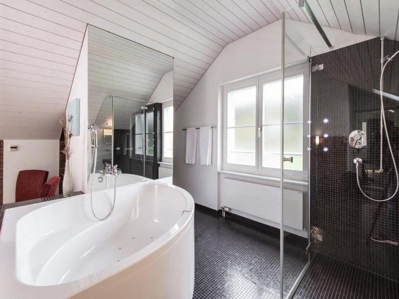 Hotel Thorenberg image