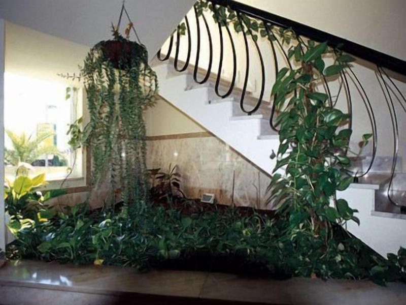 Hotel S. Lourenço