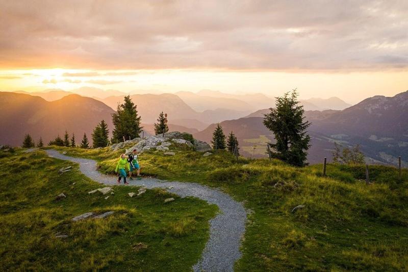 Hotel Alpin Scheffau image