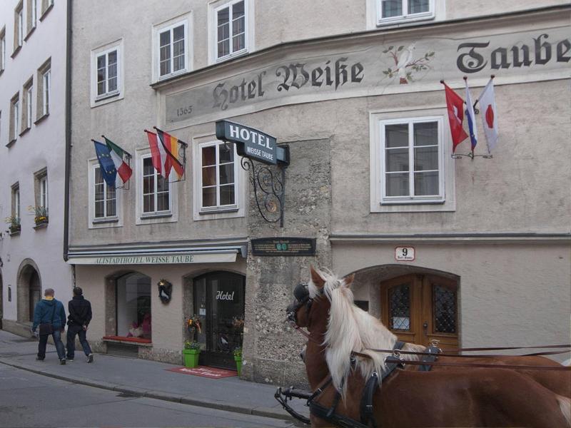 Altstadthotel Weisse Taube image