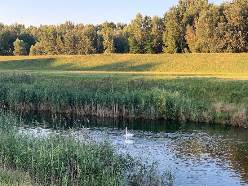 Ponteo   Activity Park image