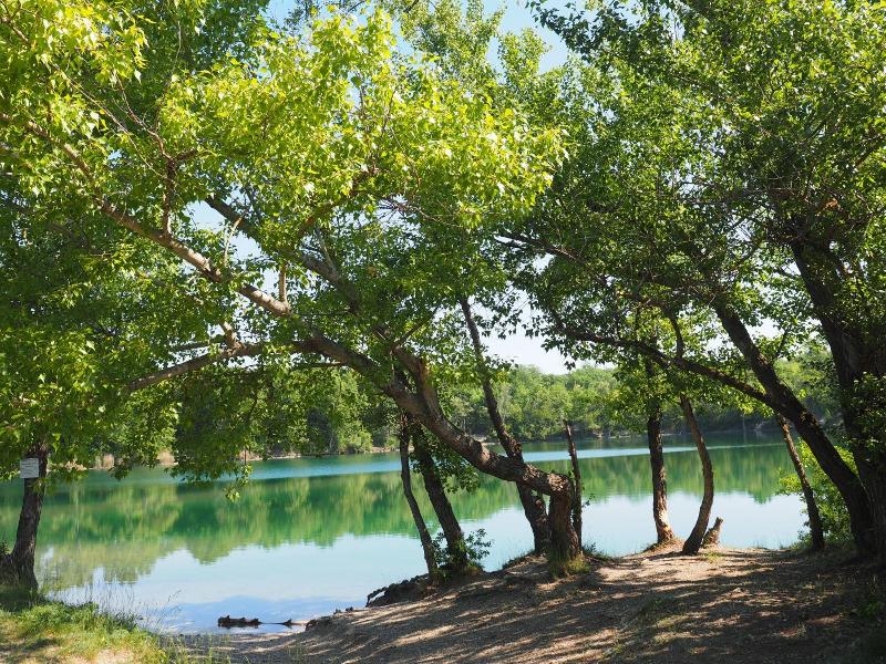 Ponteo   Activity Park image