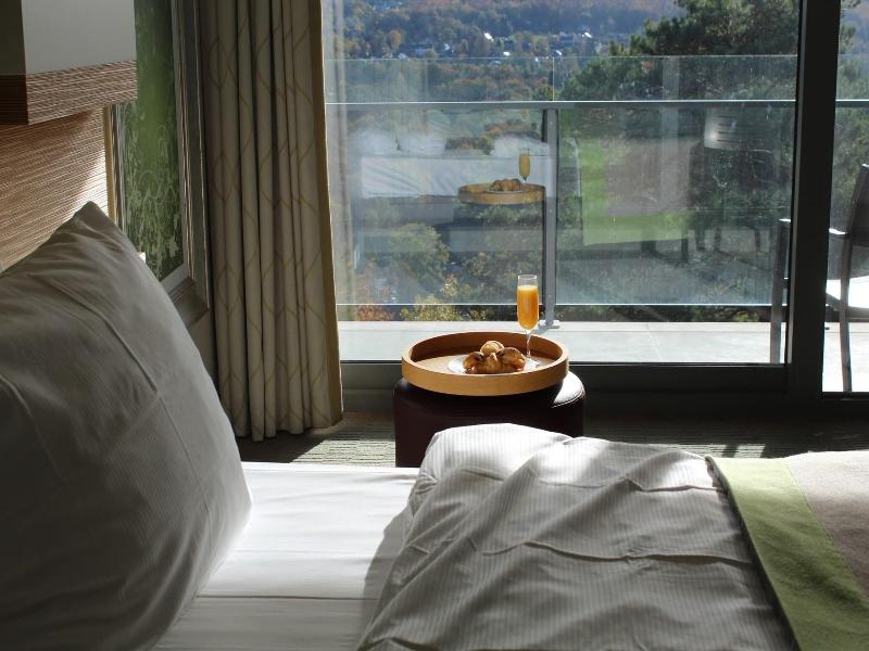 Hotel Spa Balmoral image