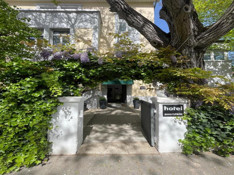 Auerstein image