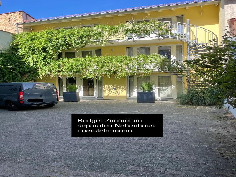 Auerstein image