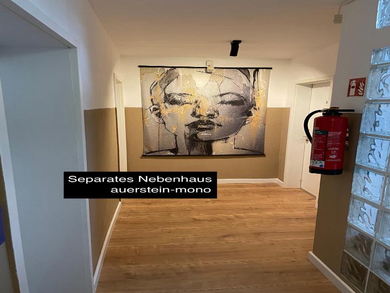 Auerstein image