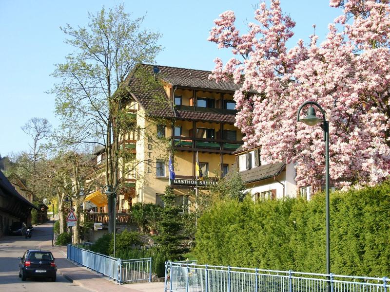 Landhotel Salmen image