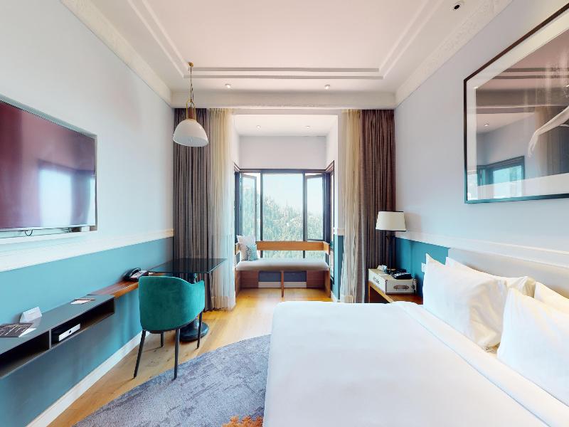 Radisson Hotel Shimla image
