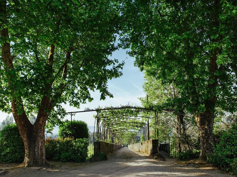 Unique Quinta Bouça Darques image