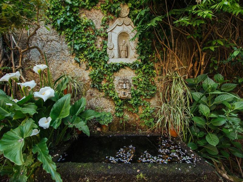 Unique Quinta Bouça Darques image
