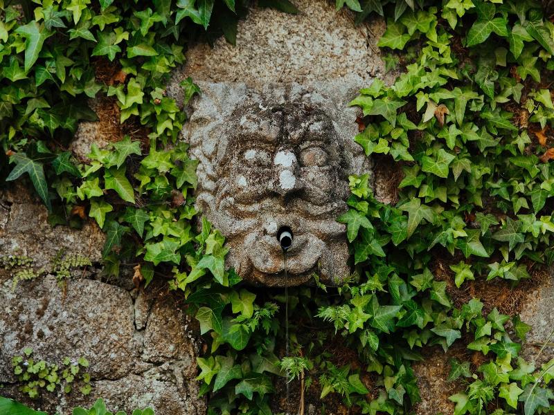 Unique Quinta Bouça Darques image