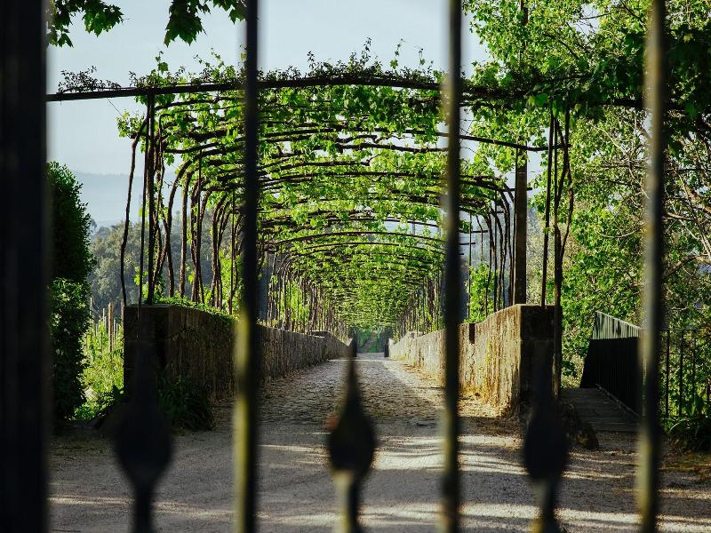 Unique Quinta Bouça Darques image