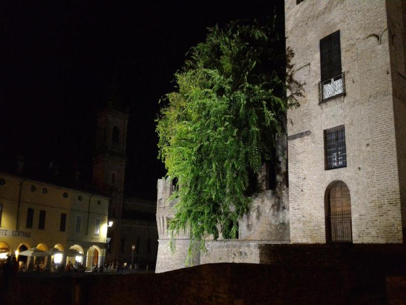 La Fattoria Del Boschetto image