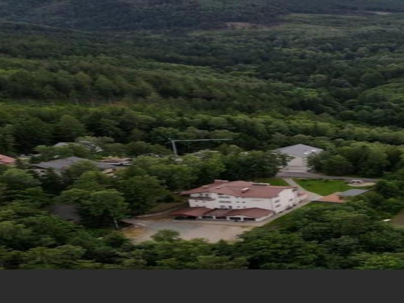 Monali image