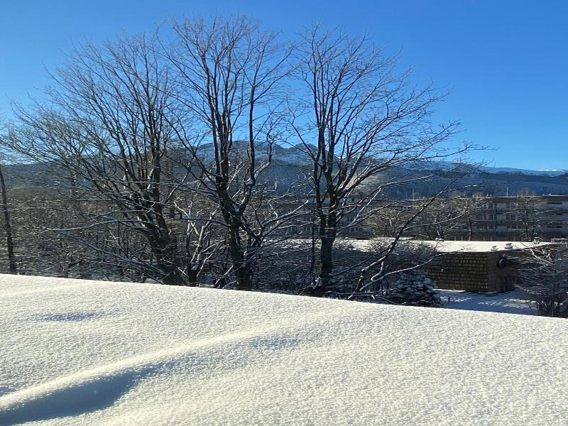 Tuberoza image