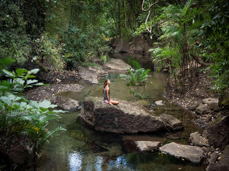 Rio Perdido image