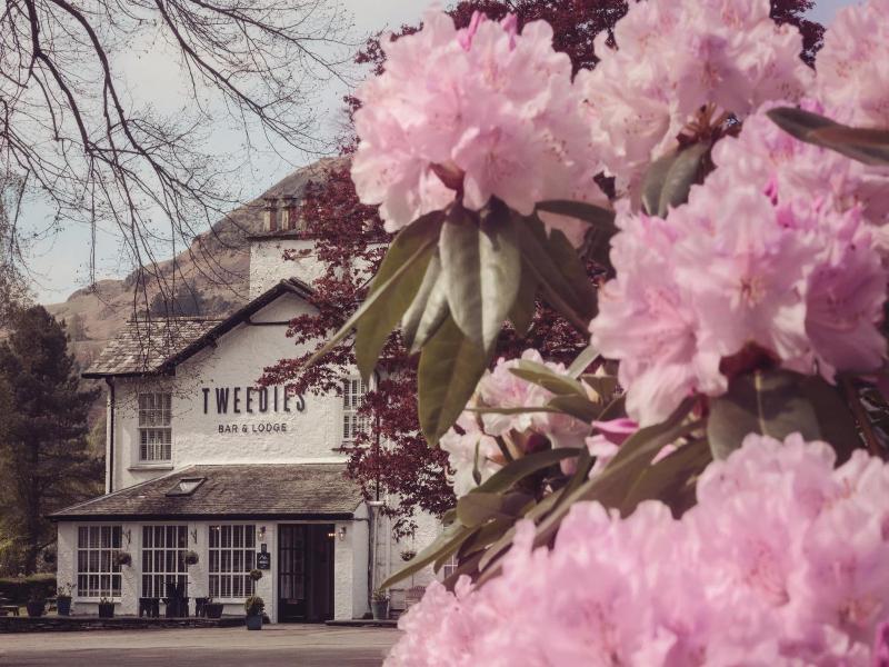Dale Lodge image