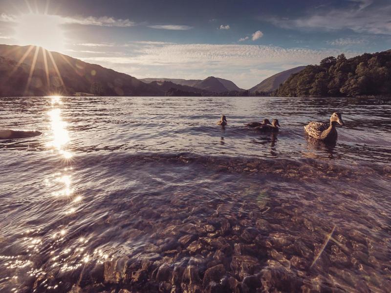 Dale Lodge image