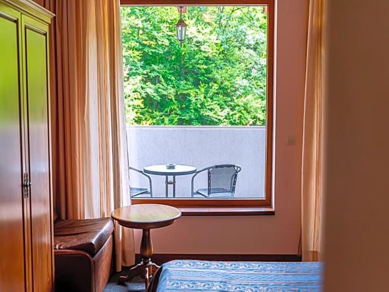 Hotel Bozhenci image