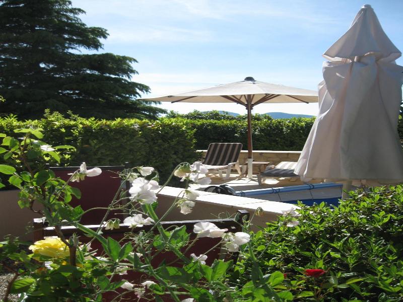 Le Vieil Amandier image