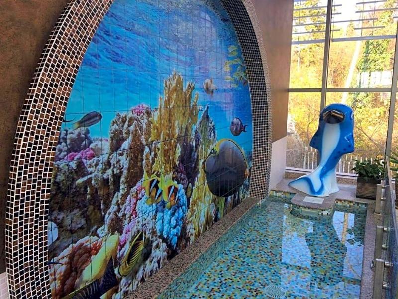 Spa Hotel Hissar image