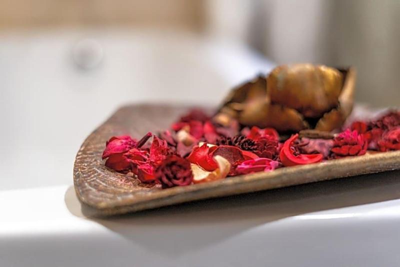 Spa Hotel Hissar image