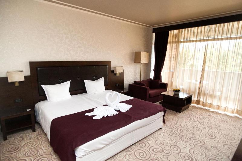 Spa Hotel Hissar image