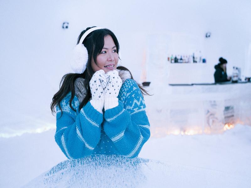 Arctic SnowHotel & Glass Igloos image