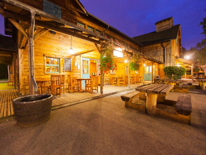 Disney Davy Crockett Ranch + Tickets image