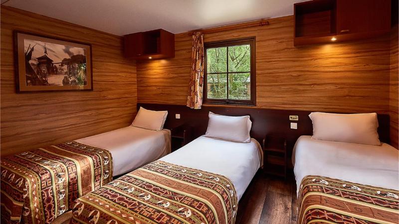 Disney Davy Crockett Ranch + Tickets image