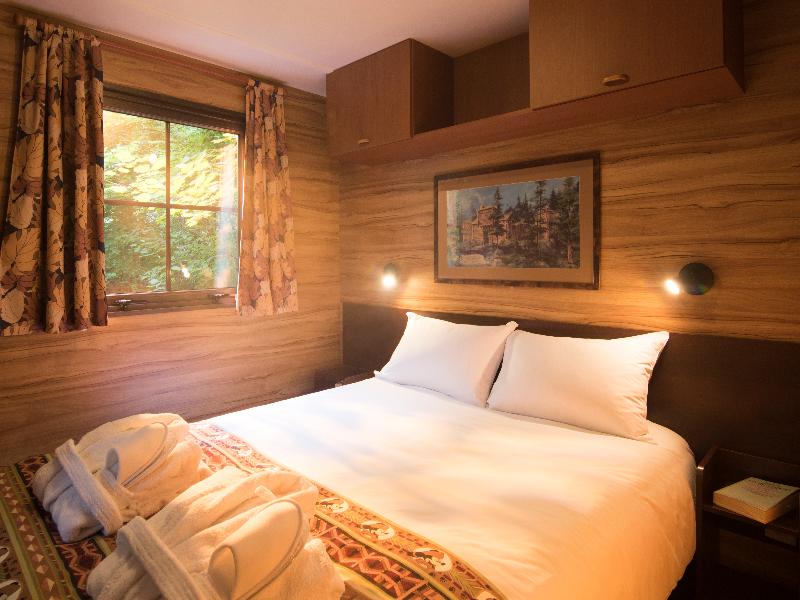 Disney Davy Crockett Ranch + Tickets image