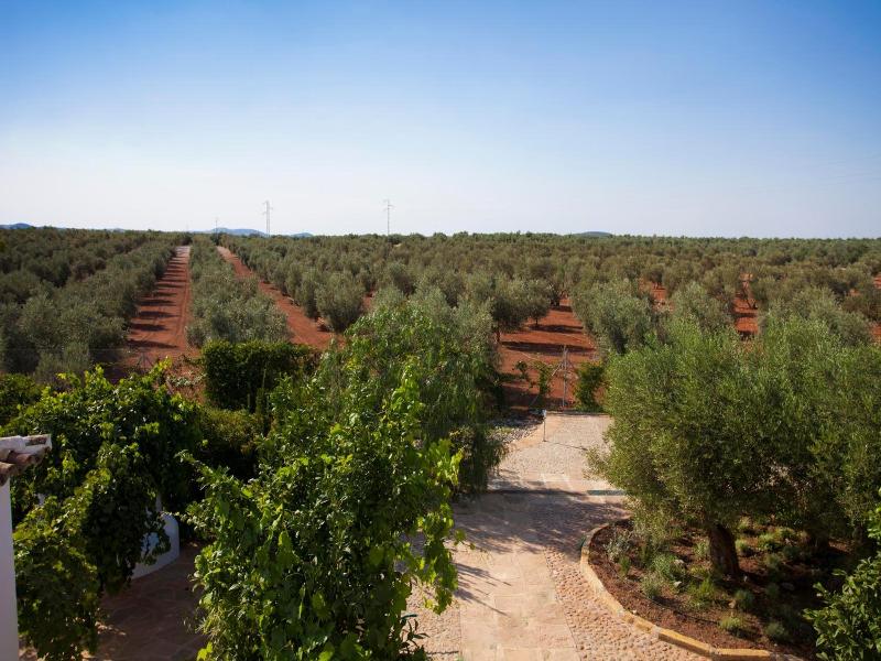 Hotel Rural Hoyo Bautista image