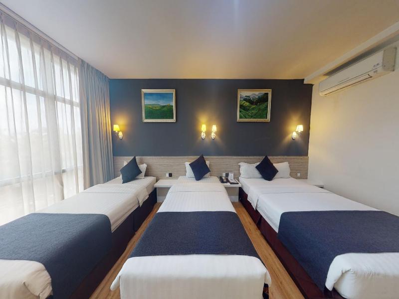 Hallmark Regency Hotel image