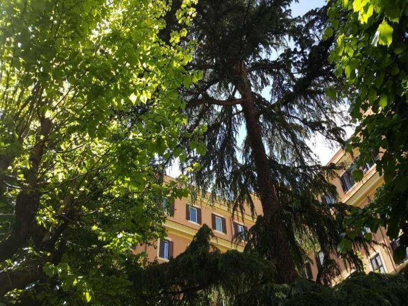 B&B A Casa Di Lia   Home In Rome image